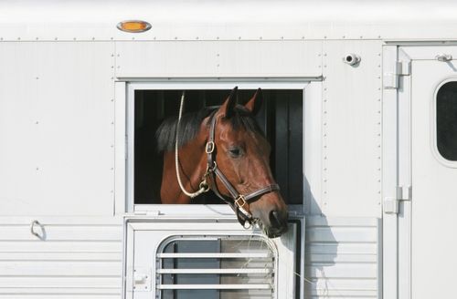 Horsebox